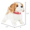Toy Time Interactive Plush Puppy Toy, Battery Operated that Walks, Barks and Back Flips Stuffed Animal Robot 911088VKQ - alternate 3